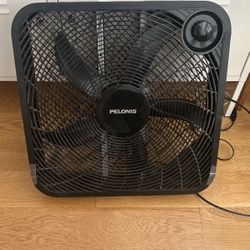 Pelonis Box Fan