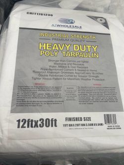 Lona heavy dury 12 x 30 ft