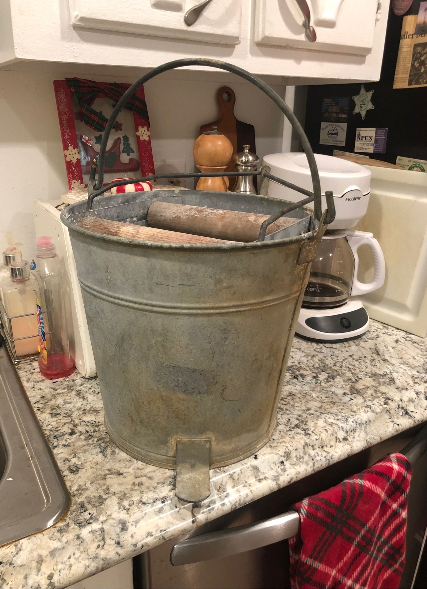 Vintage wringer pail