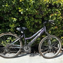 purple bike