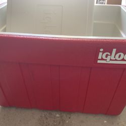 Igloo Cooler