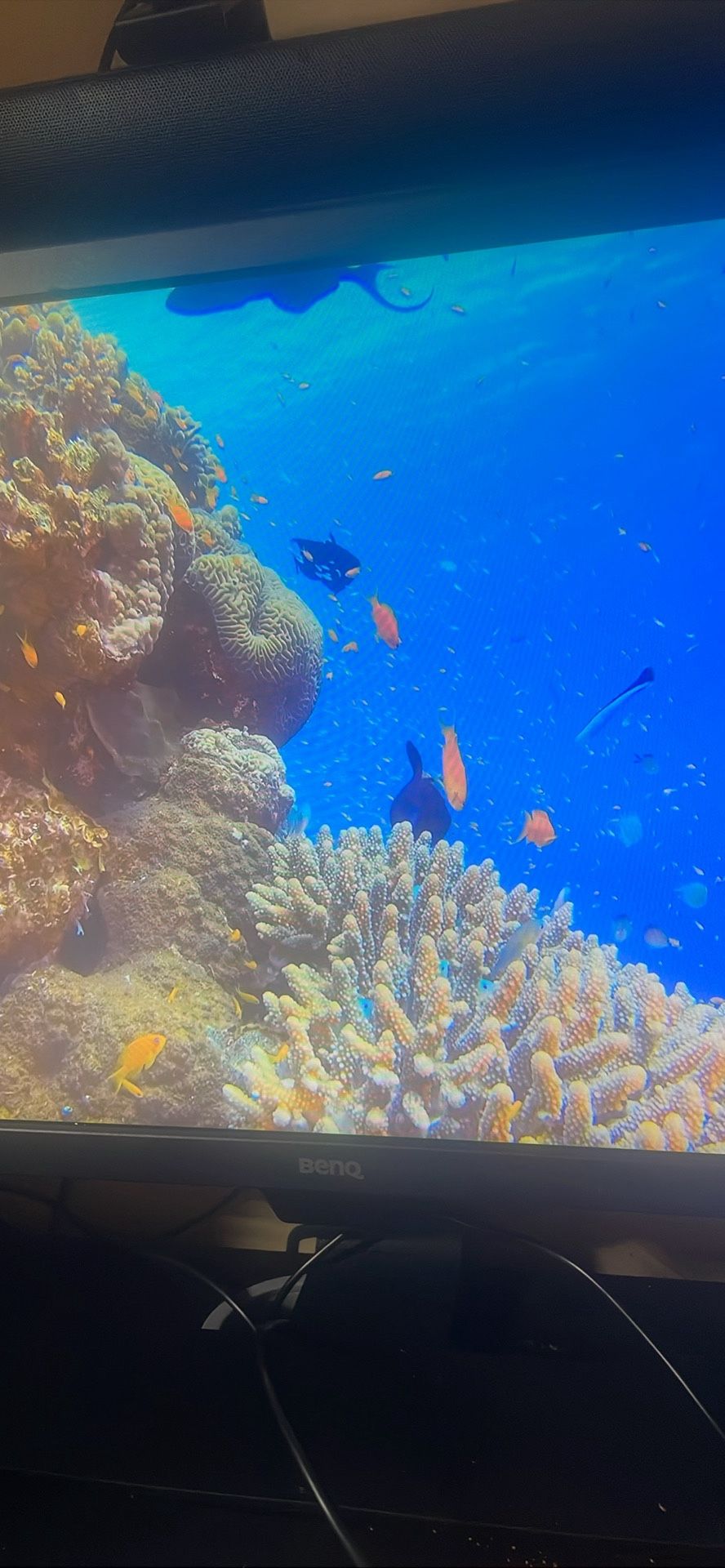 BenQ Monitor1080p HD Eye Care