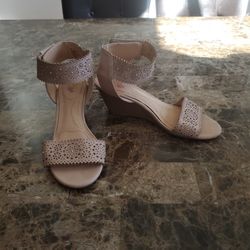 Lightly Used Wedges Size 8