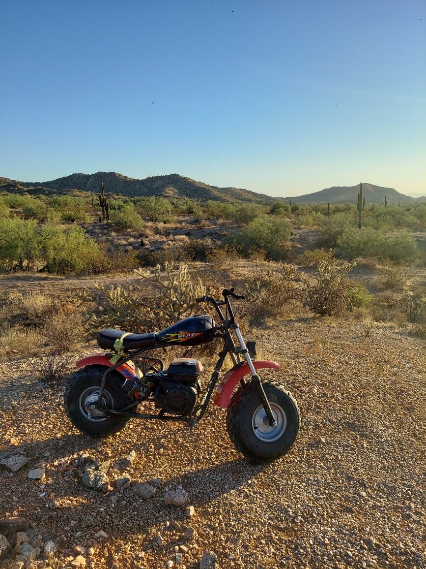 Coleman Motorcycle Fat Tire Dirt Bike Pit Bike