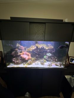 Saltwater Tank 90 gallon