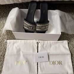 Dior Dway Slides