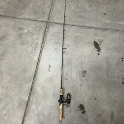 Diawa Fishing Rod And Reel 