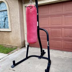 Everlast Punching Bag And Stand 