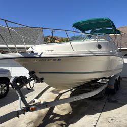 1995 Rinker Fiesta Vee 265