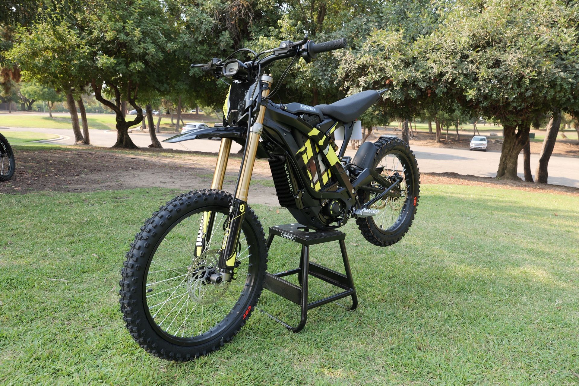 2025 SURRON Light Bee X