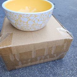 Winnie The Pooh Pet Food Dishes