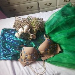 Mermaid Costume 