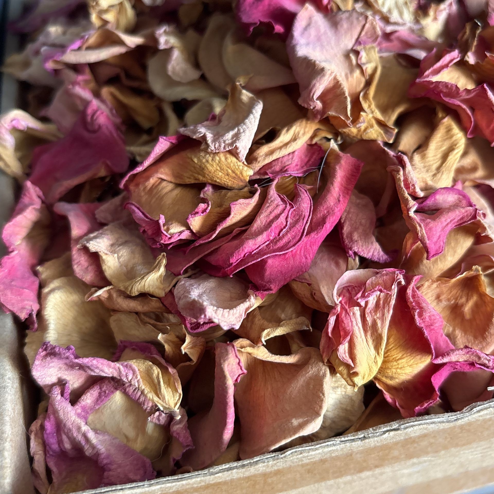 Dried Rose Petals