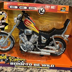 Born To Be Wild Motorcycle see video