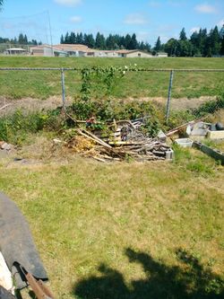 Free Firewood