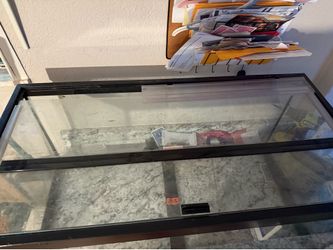 40 gallon set up