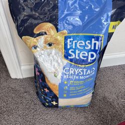 Cat Supplies 