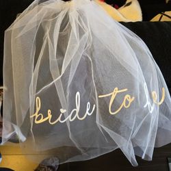 Bridal Shower Veil