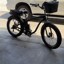 Electric Bike