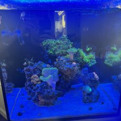 jbj 25 Gallon Reef Tank With White Stand