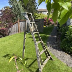 Sturdy Ladder For Cheap