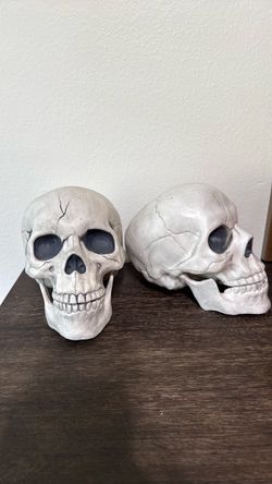 Plastic Halloween skulls $10 for both