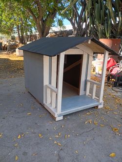 Dog House 