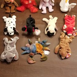 Beanie Babies Collection