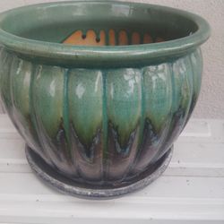 Flower Pot
