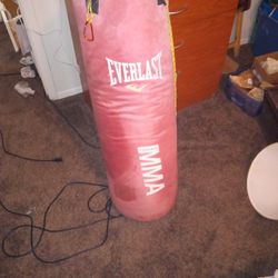 Boxing Punching Bag Ever Last