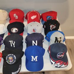 Hats Caps Panthers Hurricanes MLB, minor league, NFL, NBA, NHL snapback $15 each Obo