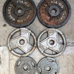 Olympic Weights In Solid Condition Workout Weights $100 firm