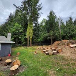 Free Firewood