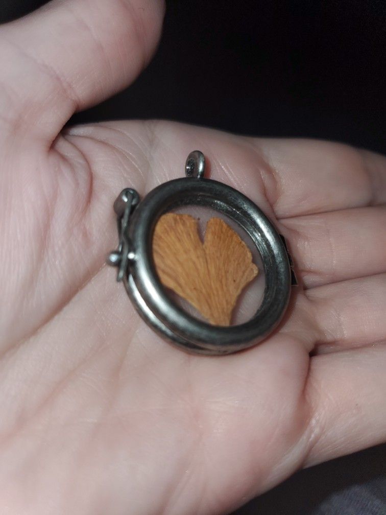 Sterling Silver Pendant Or Whatever You Want. Holds What You Want.