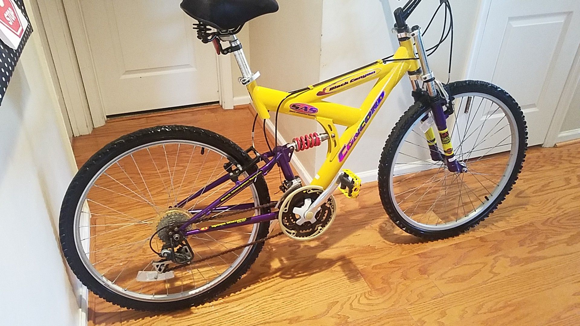 Concord pro fever sales mountain bike price