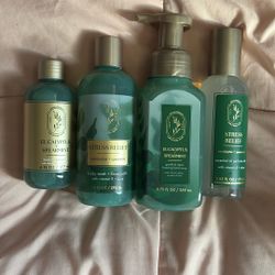 Bath and body works eucalyptus and spearmint 