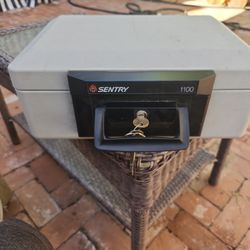 sentry 1100  Fire Safe