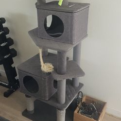 Cat tower, cat