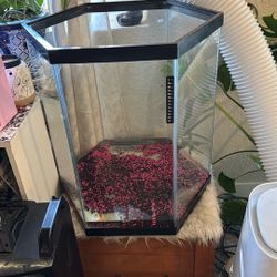 35g Fish Tank