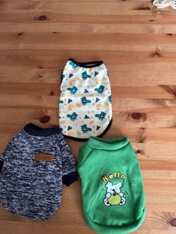pet clothes: