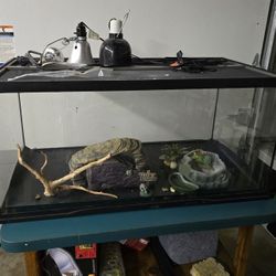 Terrarium 