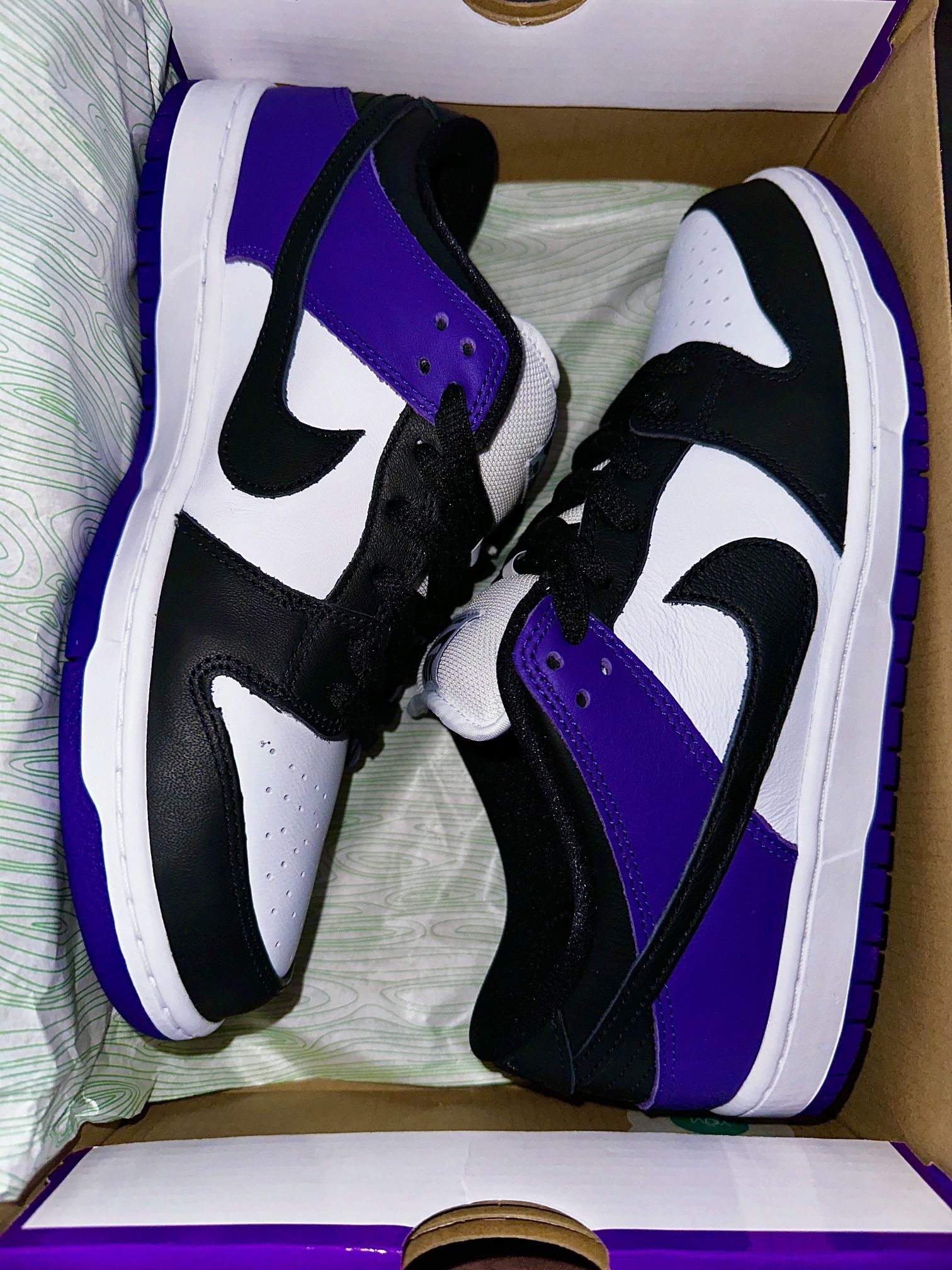 Nike Sb Court Purple