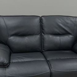 Electric Recycling Loveseat Leather sofa