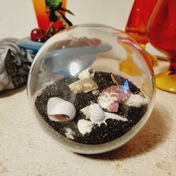 Glass Sea Globe Seashells Black Sand