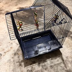 Bird Cage and Food