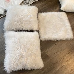 Decorative Pillows