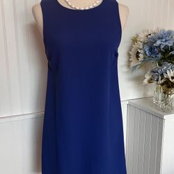 Causal Beautiful Blue Sleeveless Shift Dress