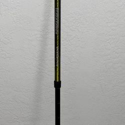 Collapsible Cane