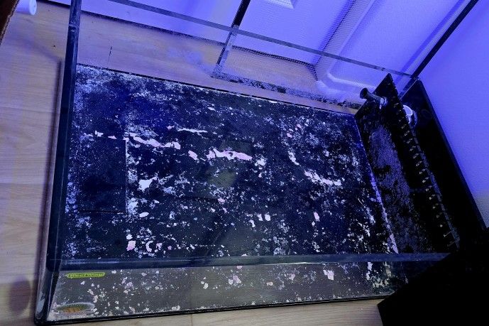 Frag Tank Acrylic 3 ft x 2 ft