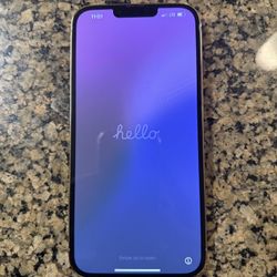 UNLOCKED iPhone 13 Pro Max; 256G